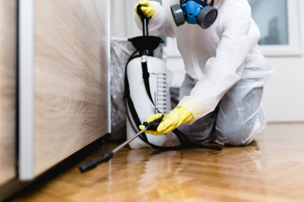 Best Residential Pest Control  in Harvey, IL