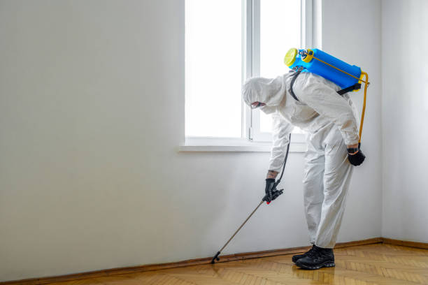 Best Emergency Pest Control  in Harvey, IL