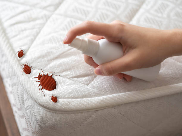 Best Best Pest Control Companies  in Harvey, IL